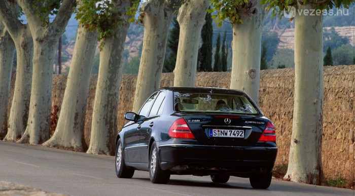 Ezen már lehet keresni