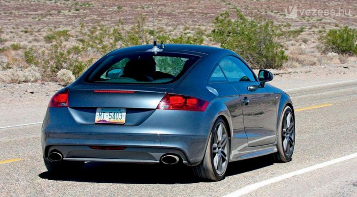 Alacsonyra ültették