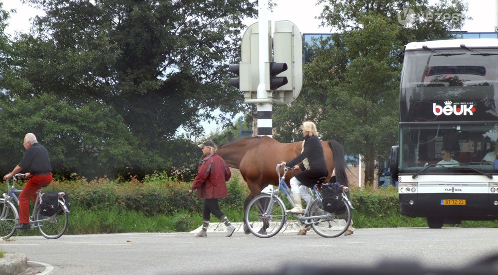 Hollandia, az már nyugat 18