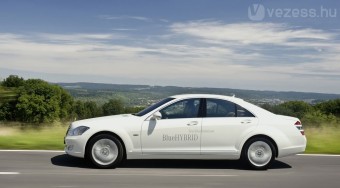 Luxusmerci kis fogyasztással