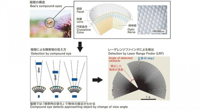 A méhektől tanul a Nissan 4