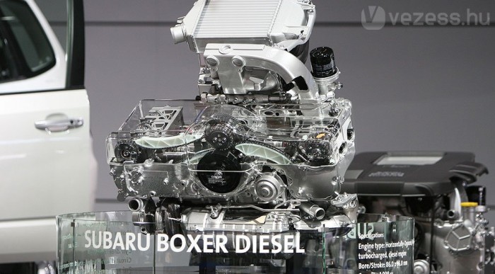 Boxerdízelt mindenbe! 6