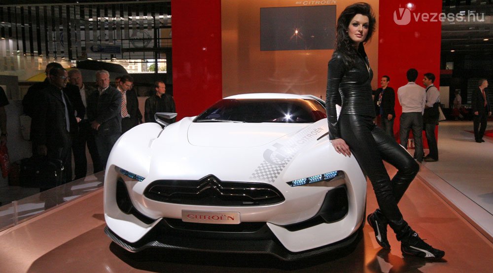 18601_171568_1000x700.jpg | Vezess | Vezess Ő a kedvencem, ezért róla több kép van...