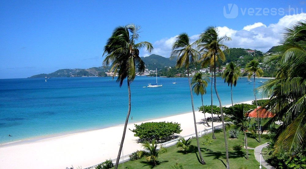 18632_172208_1000x700.jpg | Vezess | Vezess