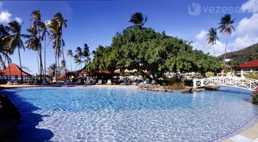 18632_172209_1000x700.jpg | Vezess | Vezess