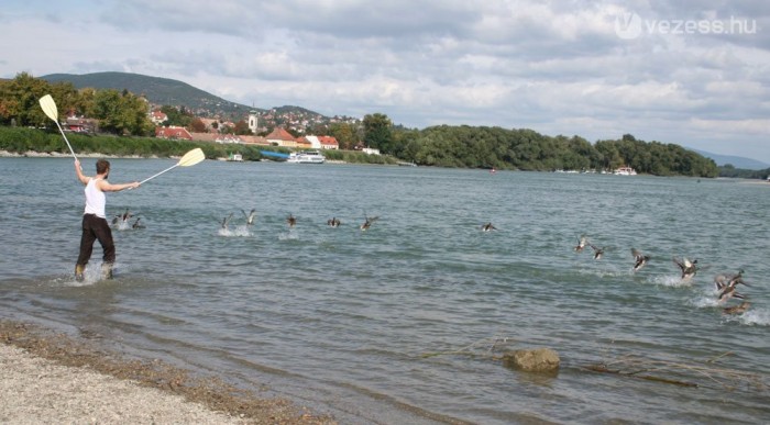 Gumicsizma és zöld üveges 8 | Vezess András kis szárnyas barátaival délre repül