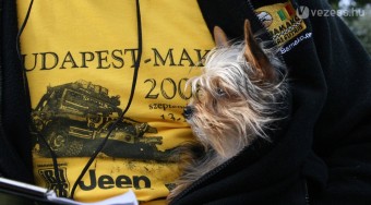 Afrika felé az Alföldön