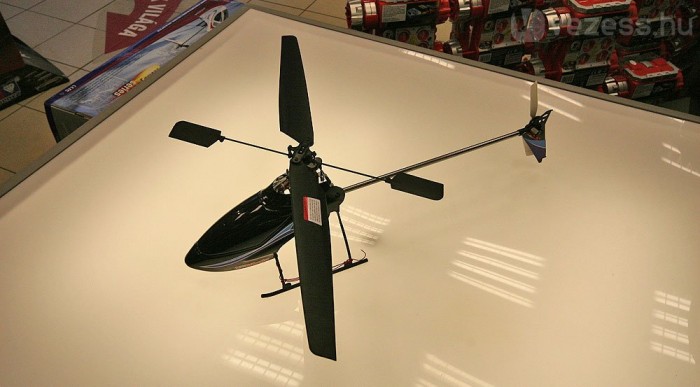 Szigorú, fekete madár