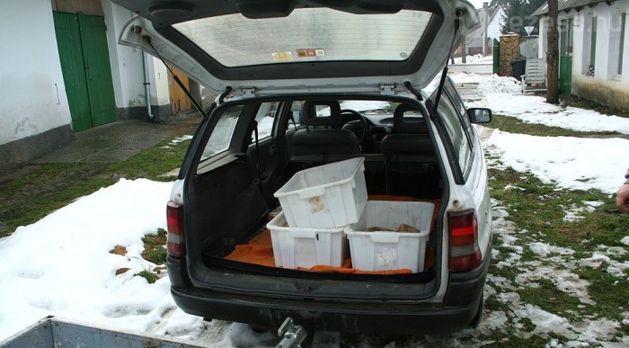 18731_173552_1000x700