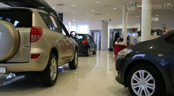 Ki marad életben 6 | Vezess Ki marad életben 6