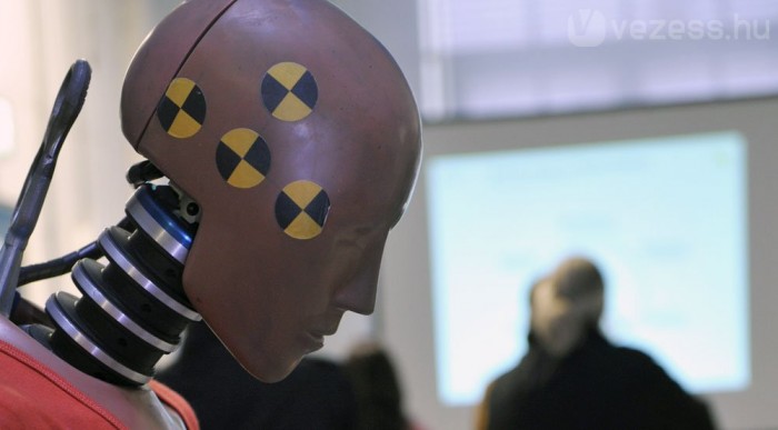 Helyettünk halnak meg 12 | Vezess Ki ragasztotta rám ezeket?