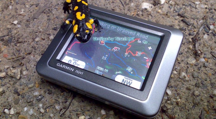 Ajándékötletek férfiaknak 8