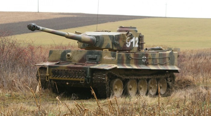 Tigris a magyar ugaron