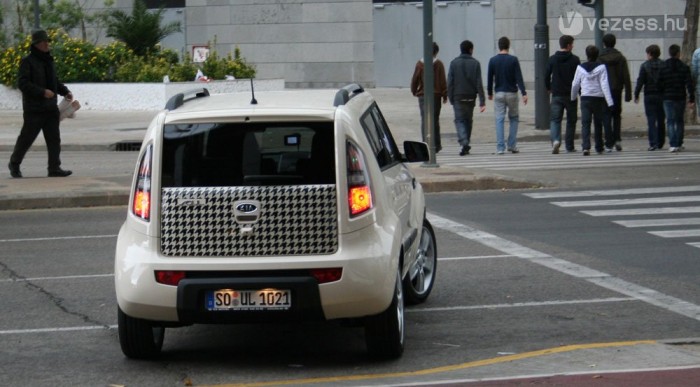 Ilyen a tyúklábmintás dekor