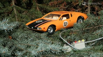 Tartósított gyermekvágyak