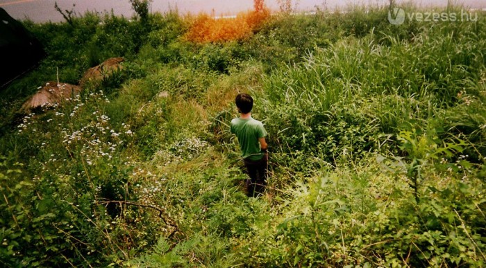 Nem jön senki? Akkor zuboghat