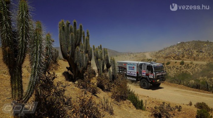 Palik sivatagot kapott a szülinapjára 6