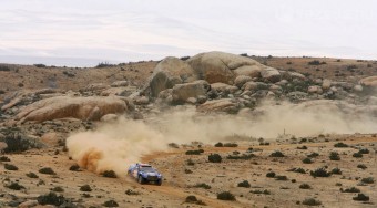 Palikék a top10-ben!