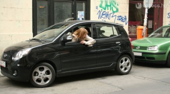 A nők elölről, mi hátulról szeretjük