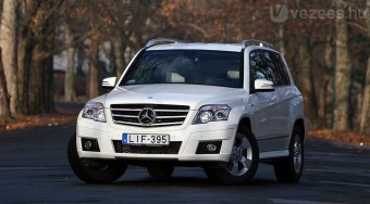 Kockahas csajoknak is