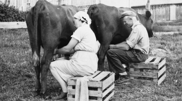 Drágulhat a parkolás Budapesten 15 | Vezess Hun a tőgye, hadd kapom el!