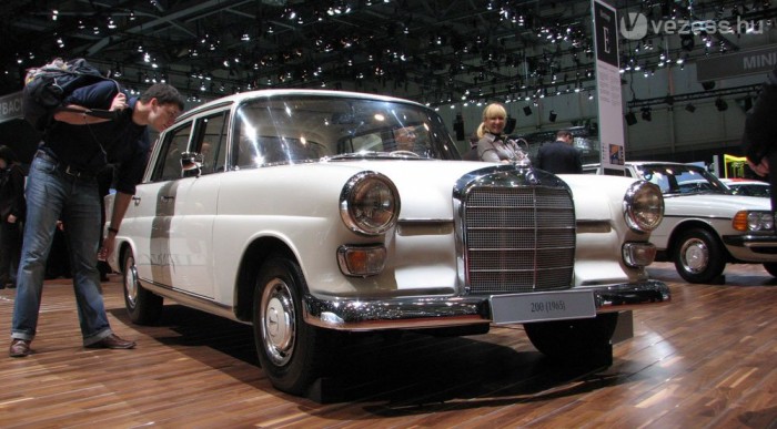 Gyönyörű Heckflosse