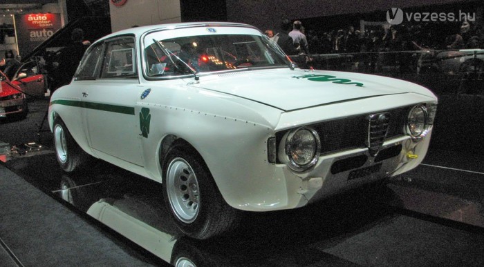 Gyönyörű kis verseny-Alfa