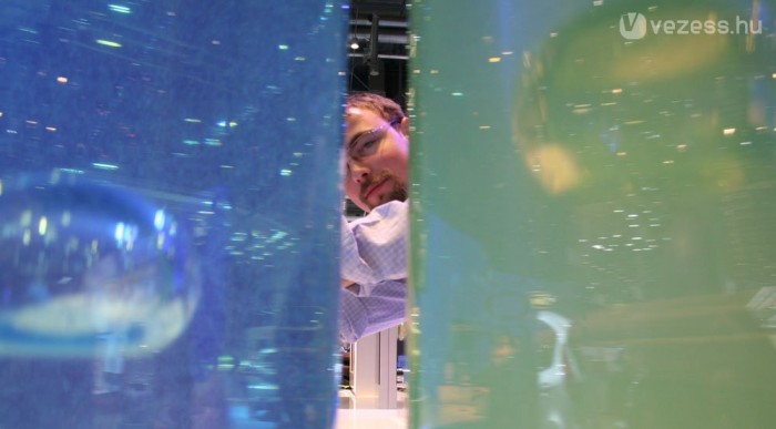 Jobb oldalt gyorsan száll fel a bubi