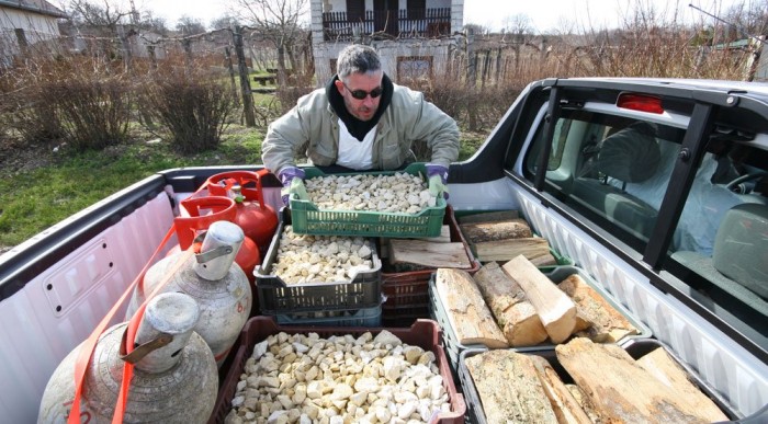 Ez még mindig nincs 800 kg