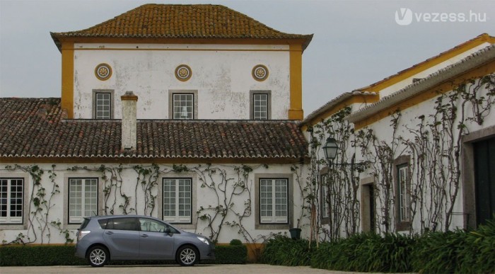 A képen egy Toyotát rejtettünk el