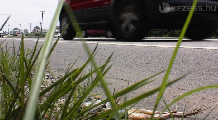 Kivasalva nem túl vonzó a béka