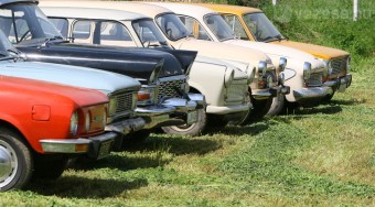 Kopasz Gorillát Simogatni Tilos!