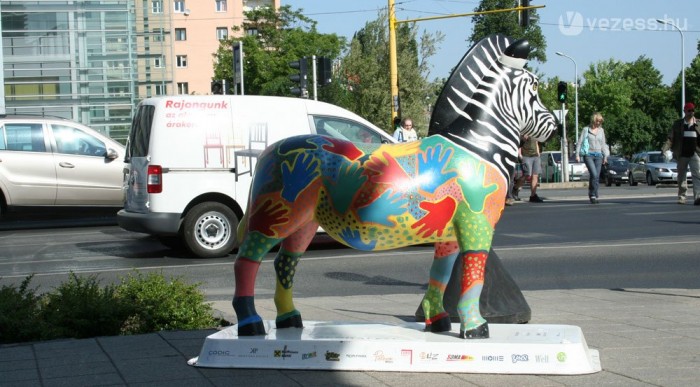 Fél évbe telt előkészíteni az akciót