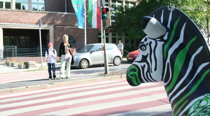 Sok van lámpás átkelőhelynél