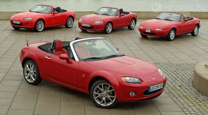 Melyik a kaukktojás?