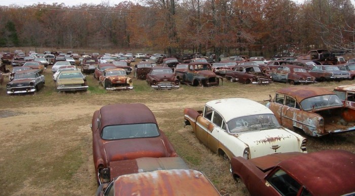 Szárazzá tett autók?