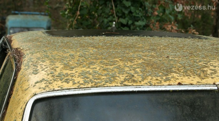 Nem megoldás elrohasztani a kert végében