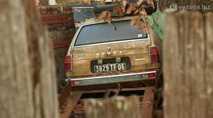 Törvényesen kellene ártalmatlanítani