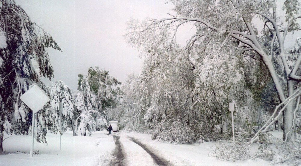 11352_113699_1000x700.jpg | Vezess | Vezess Nemcsak hóban jó a téligumi