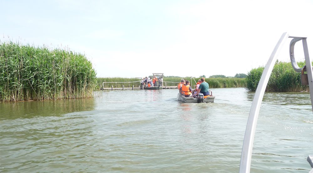 A délutáni program része volt a Madárrezervátum meglátogatása is a Tisza-tavon