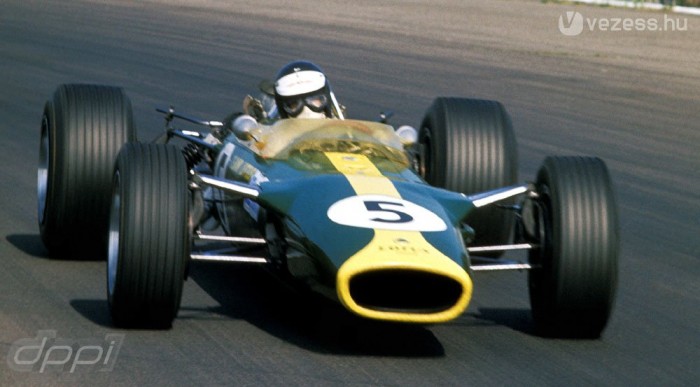 Nem a chapmani Lotus 