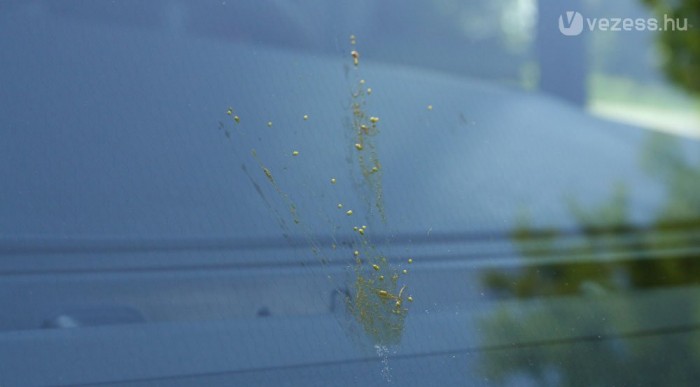 A pete és a zsír fröccsen szét