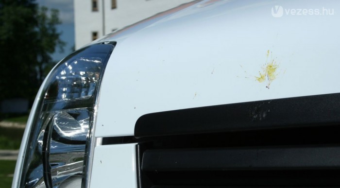 A sárga talán virágpor lehet