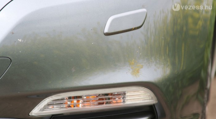 R.I.P., ismeretlen ízeltlábú!