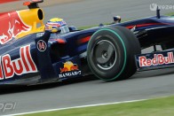 A Red Bull és a Toro Rosso tartalékpilótája is egyben