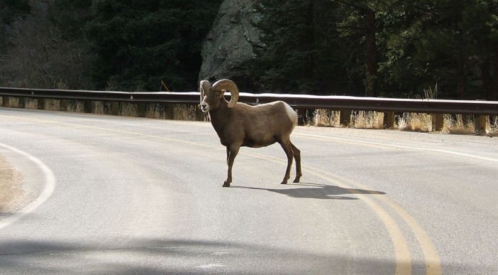 Hegyi utakon előfordulhat