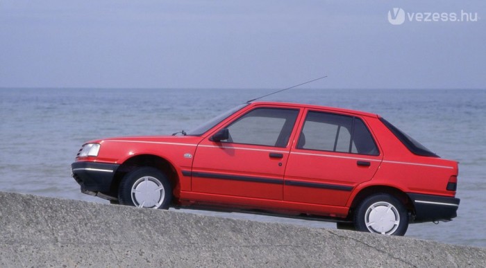 Megörökölte a 205 oldalajtóit