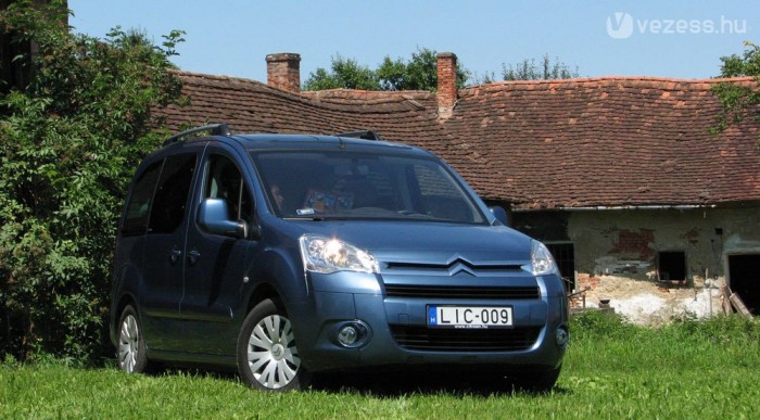 December 31-ig lesz a társunk