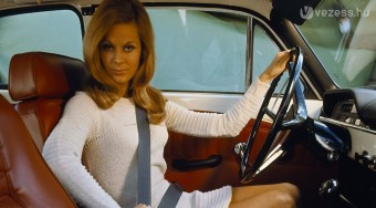 50 éves a biztonsági öv