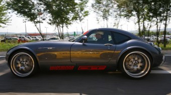 Vadállatok az úton